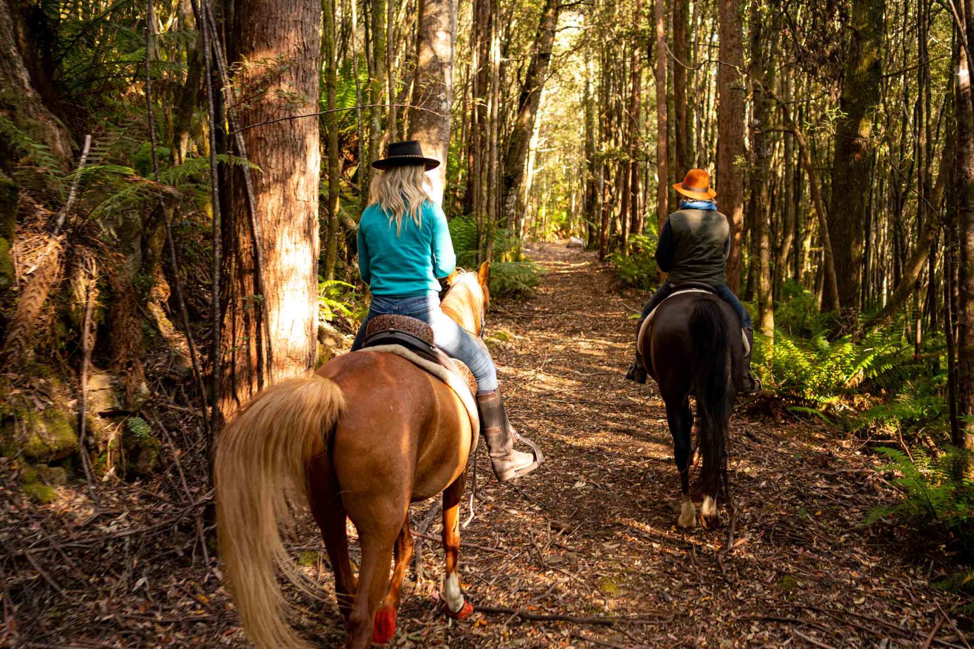Australian Horse Adventures