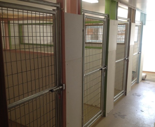 Dog & Cat Grooming Lyndonville Vermont Kindgom Canine Center VT