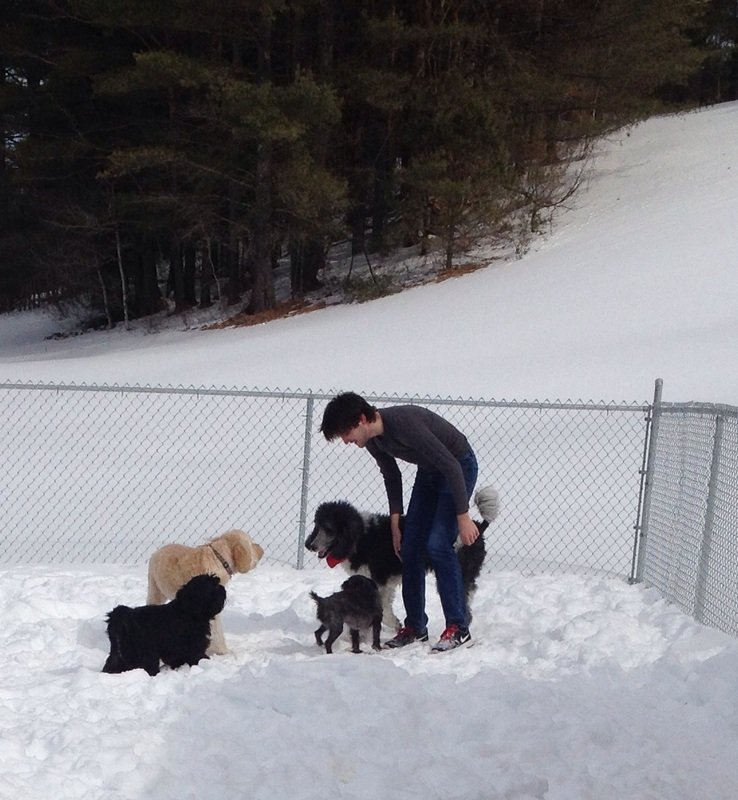 Overnight Dog Boarding Lyndonville Vermont Kingdom Canine Center VT