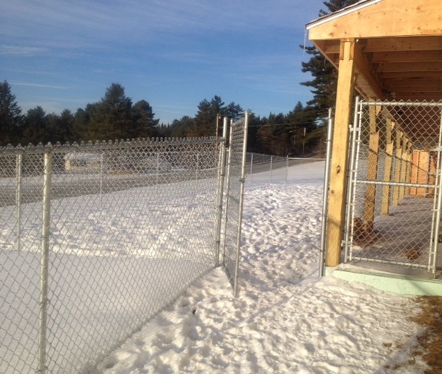 Overnight Dog Boarding Lyndonville Vermont Kingdom Canine Center VT