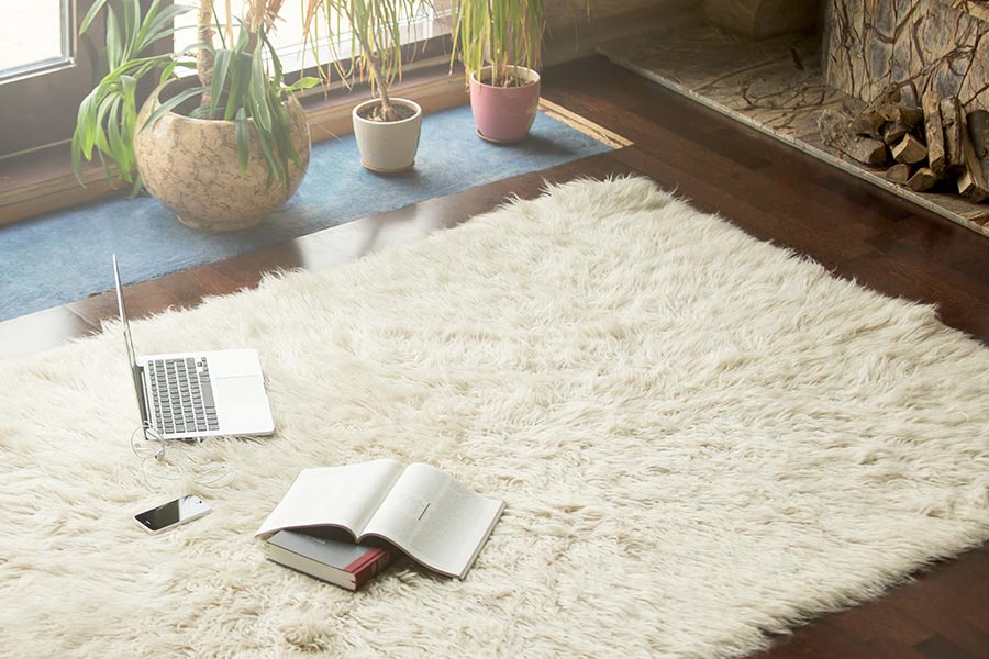 Carpet Cleaner in Coffs Harbour Coffs Carpet Cleaning