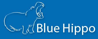 Chimney Sweep - Glastonbury - Somerset | Blue Hippo Chimney Sweeping