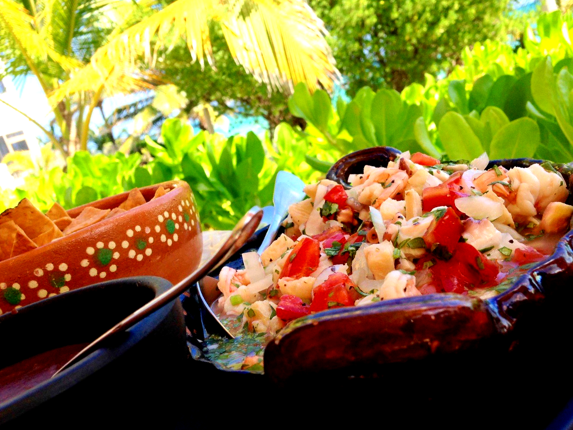 Mayan Beach Garden