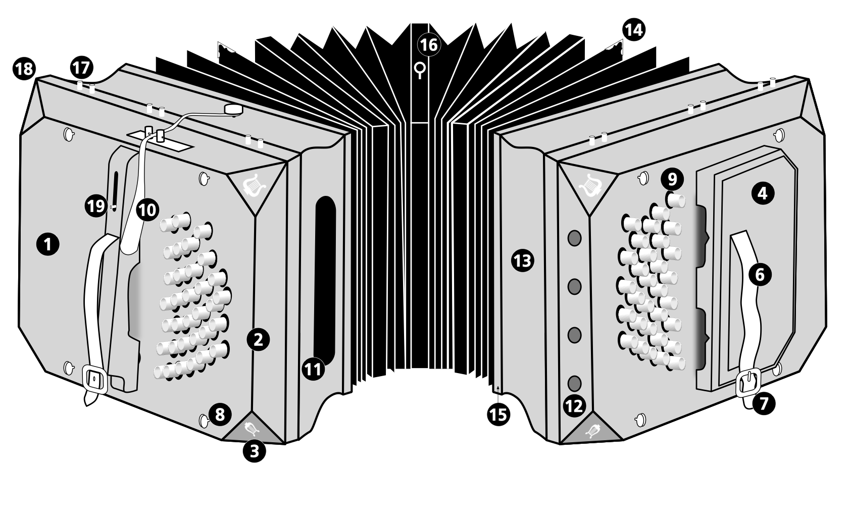 Information about freereed musical instruments.