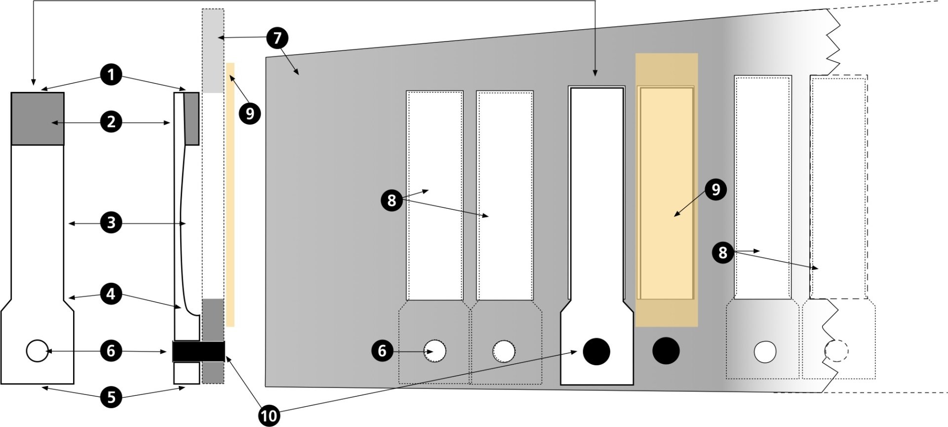 Information about free-reed musical instruments.