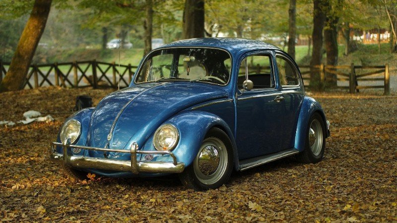 Volkswagen Repair Shop