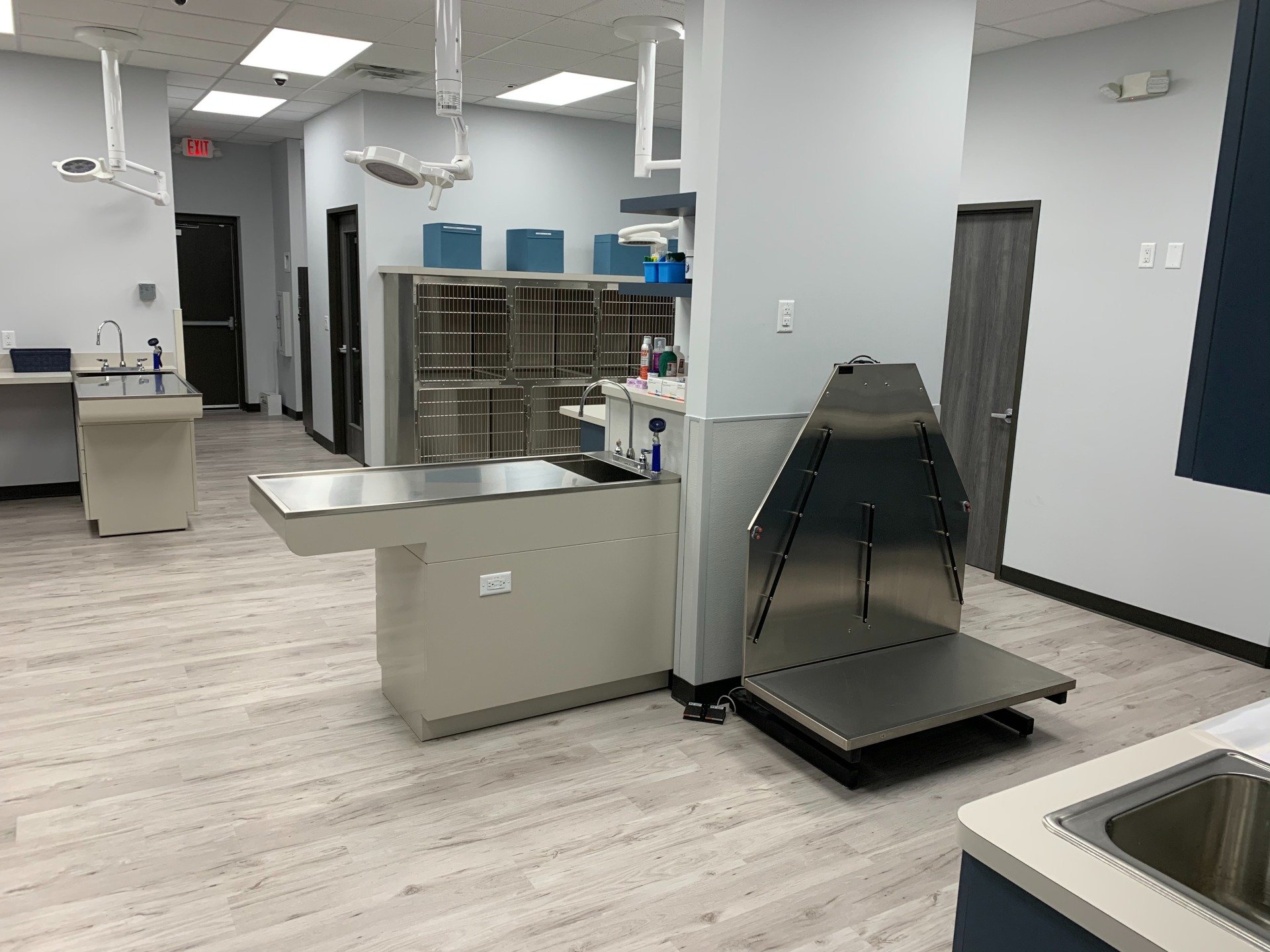 Our Hospital Pet Medicine The Woodlands & Spring, TX A Couple of Vets