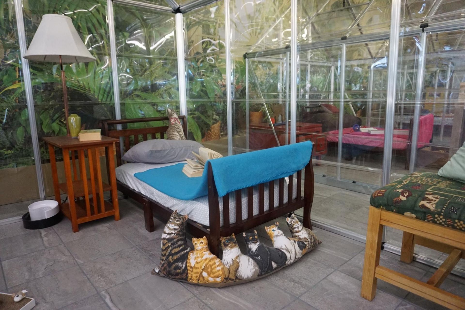 Cat Boarding Niles, MI Bunk & Biscuit