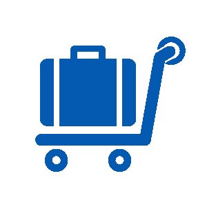 accommodation bag on trolley