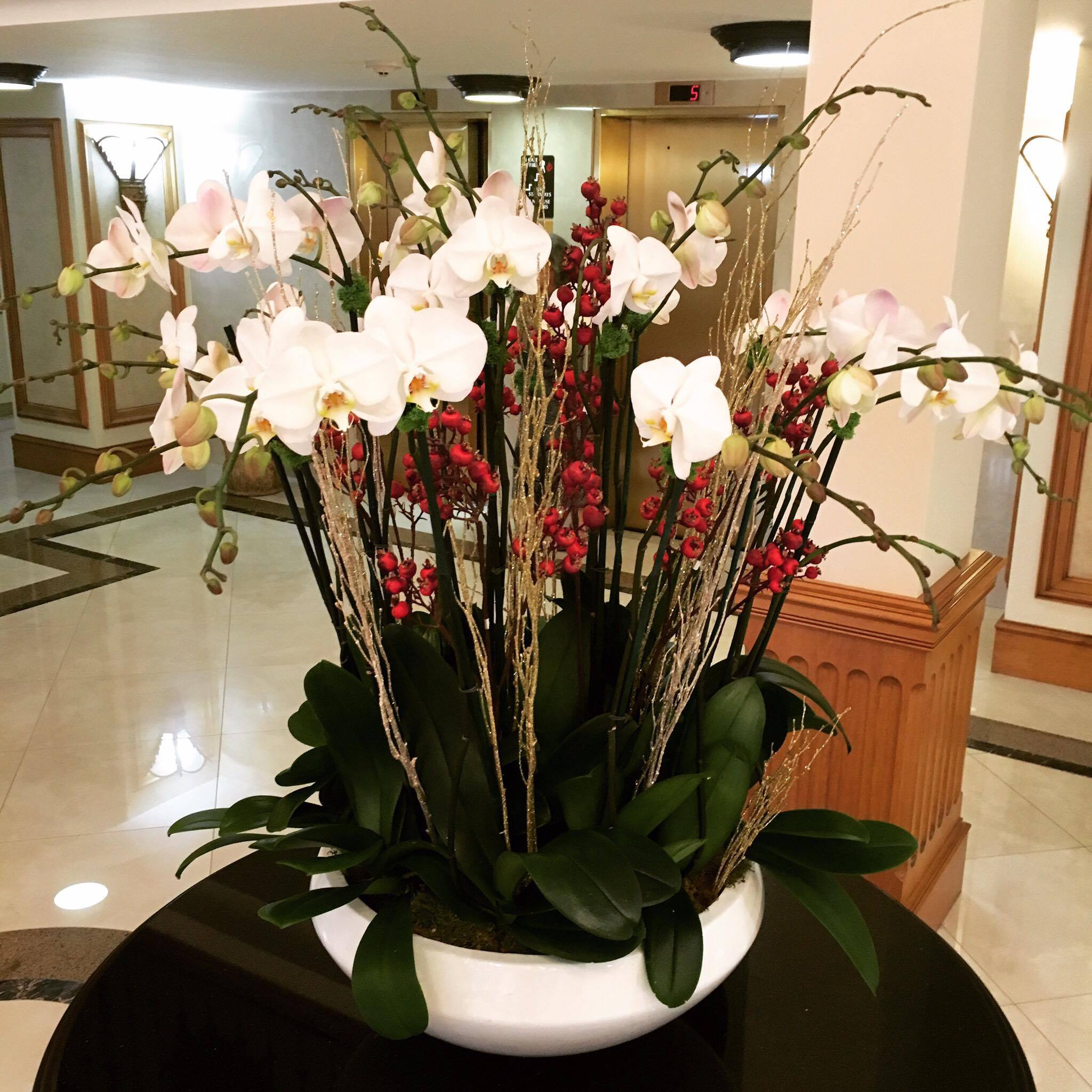 "Tropical FlowerOrchid SpecialistPalm Beach Florida Palm Beach