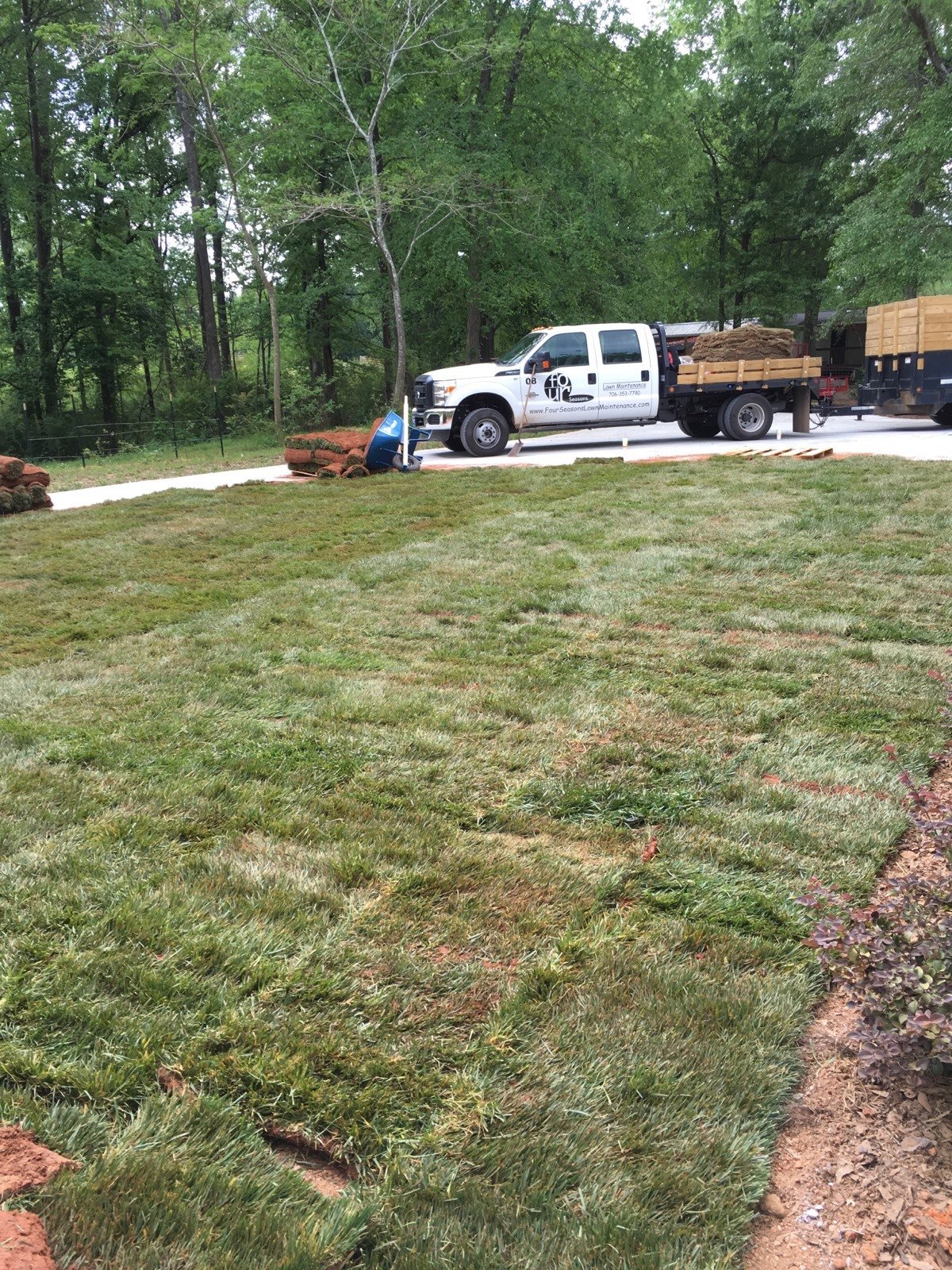 Commercial Sod l Watkinsville, GA l Four Seasons Lawn Maintenance