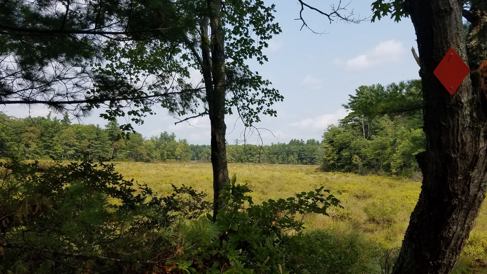 New Homes at Sawmill Ridge in Atkinson NH Lewis Builders Development