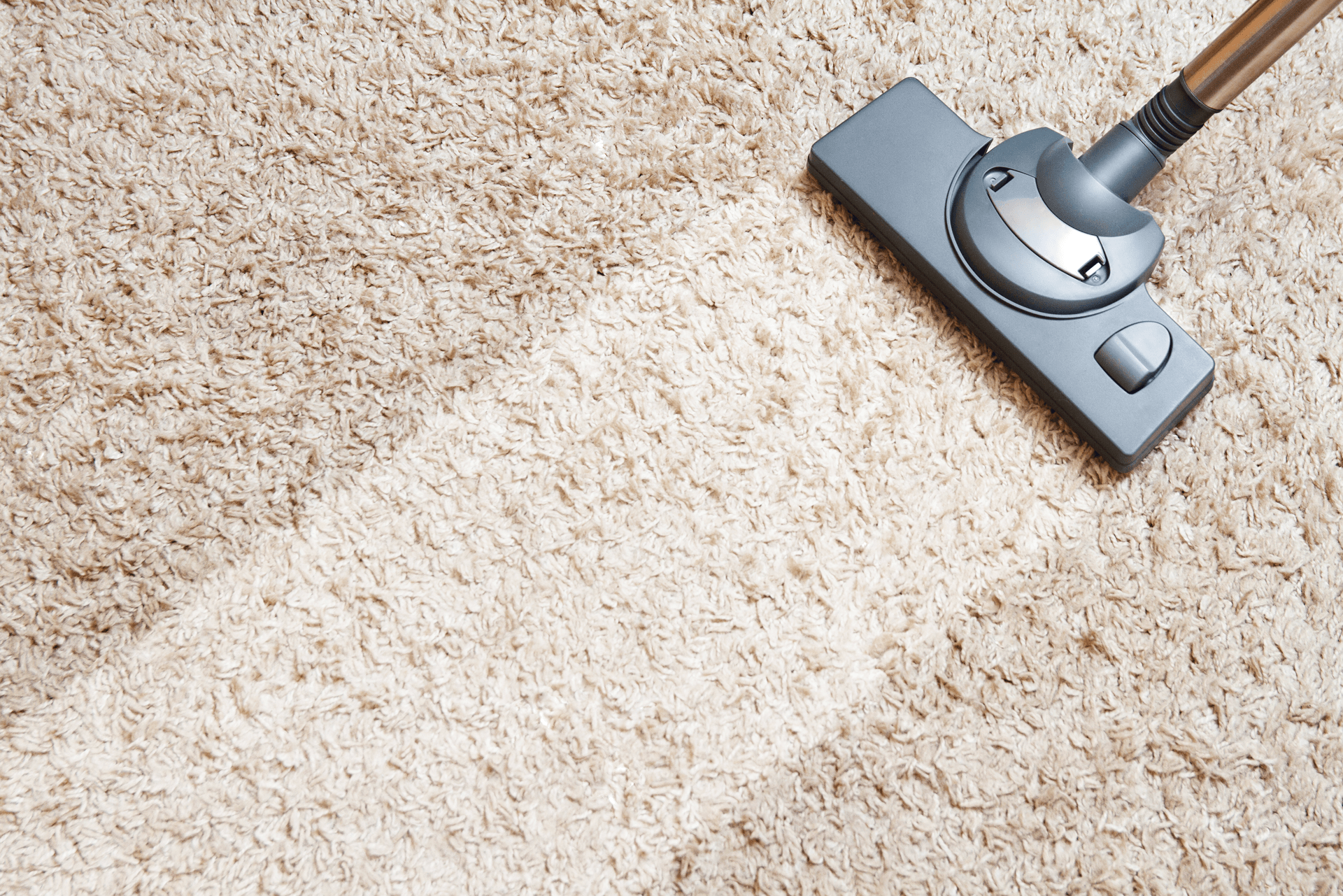 Carpet Cleaning Carpet Care Dirt & Odor Removal Minneapolis MN