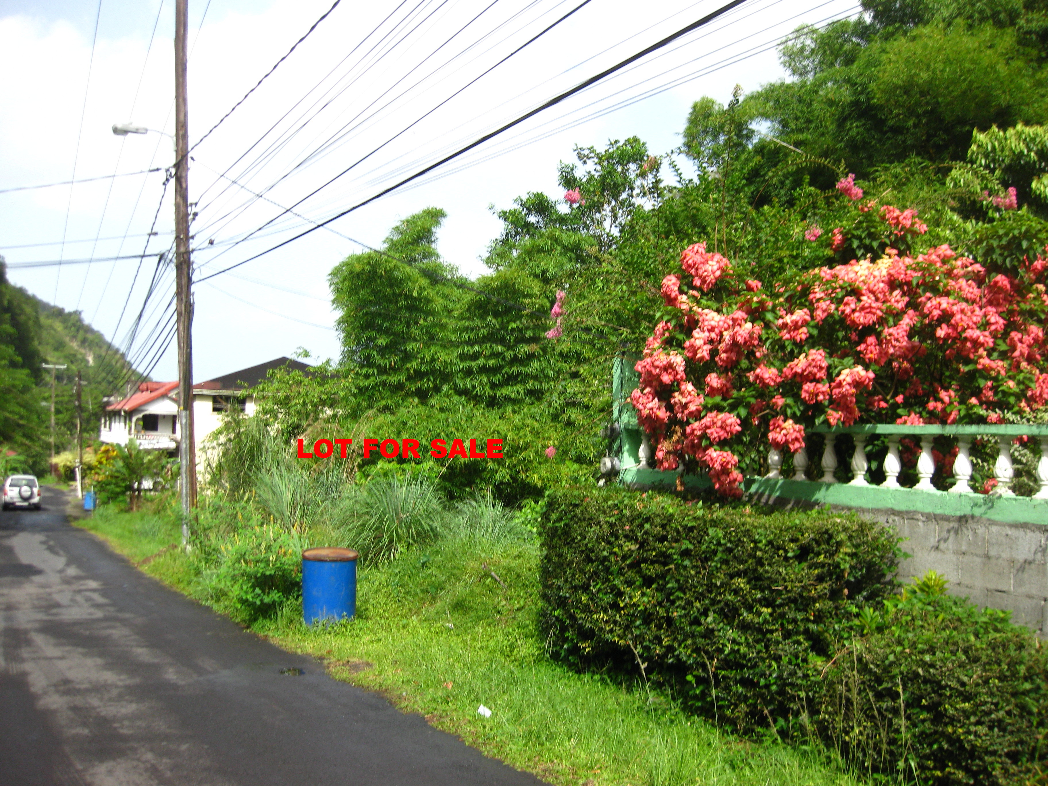 Dominica real estate, land for sale in Dominica.