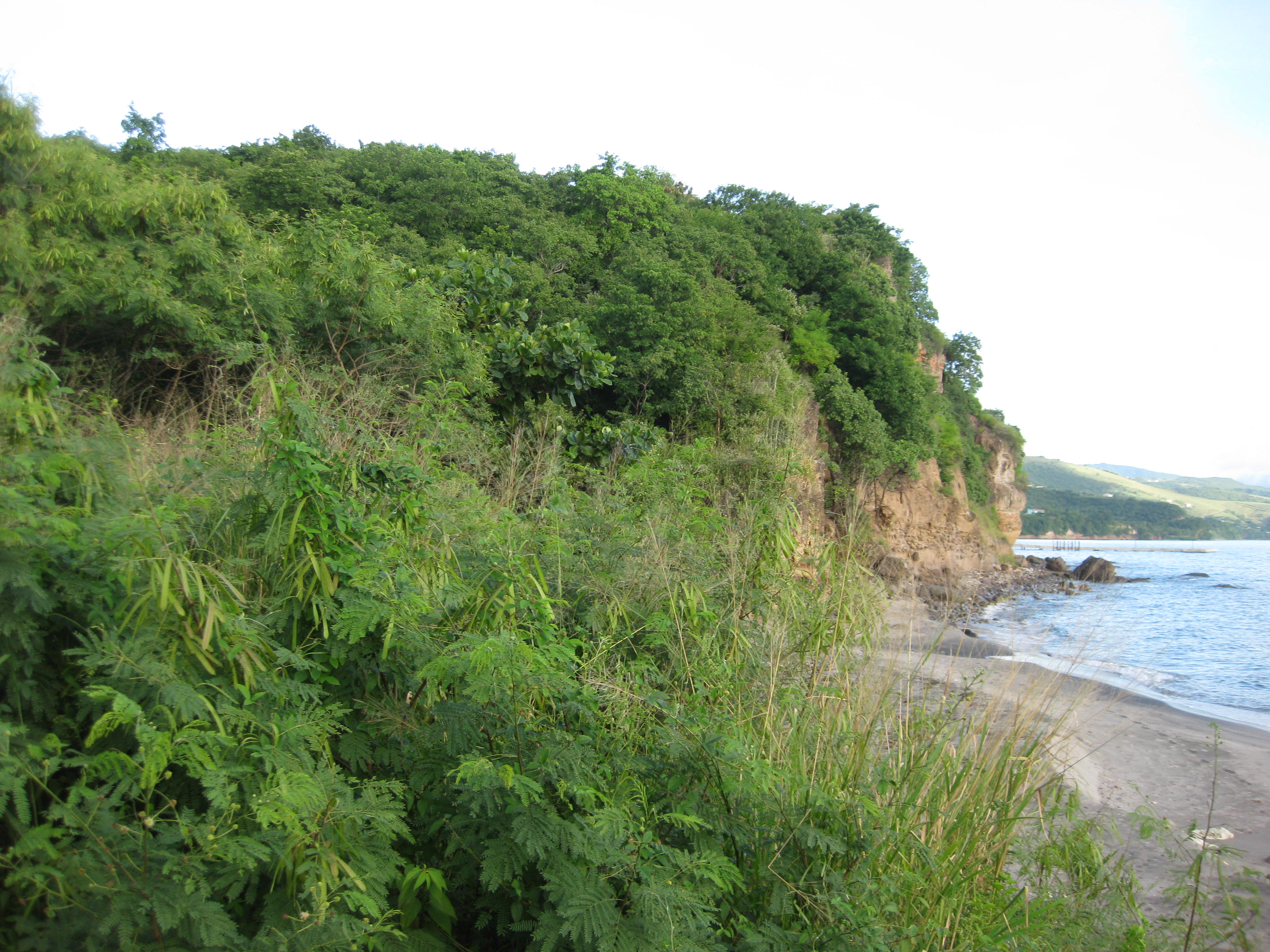Dominica real estate, land for sale in Dominica.