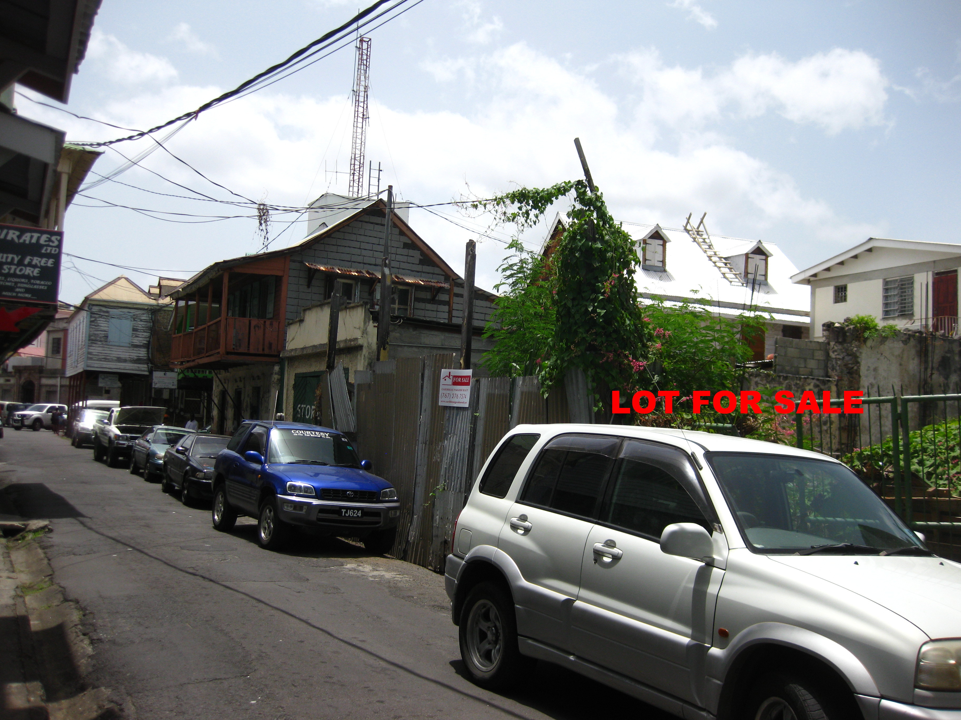 Dominica real estate, land for sale in Dominica.