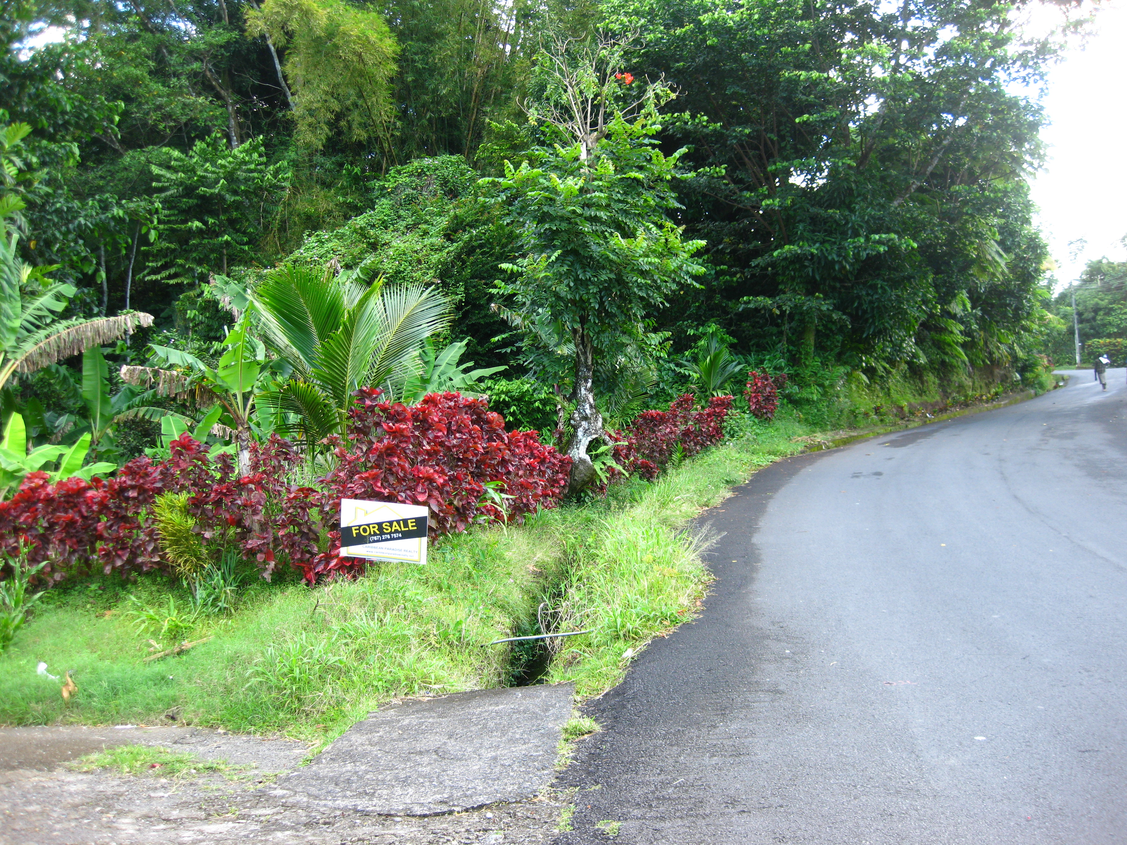 Dominica real estate, land for sale in Dominica.