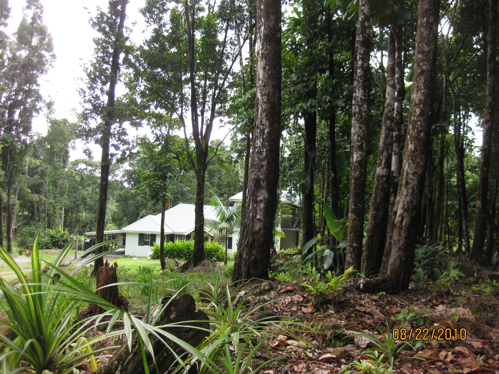 Dominica real estate, land for sale in Dominica.