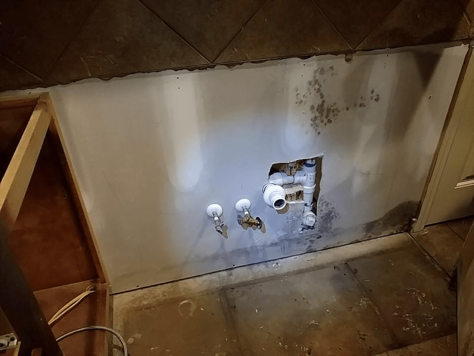 Mold Removal & Mold Damage Cleanup Birmingham