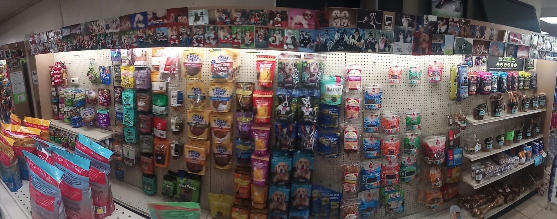 Gallery Garden Grove, CA Collar & Leash Pet Shop