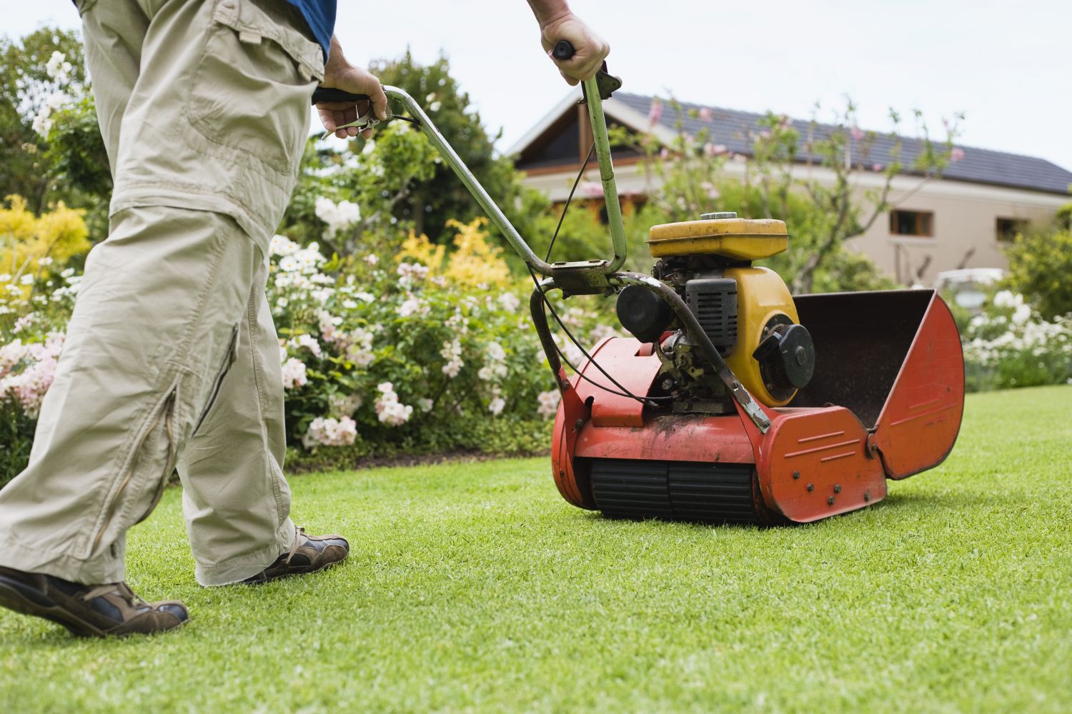 Lawn cutting Auckland Mac Lawnmowing & Gardening