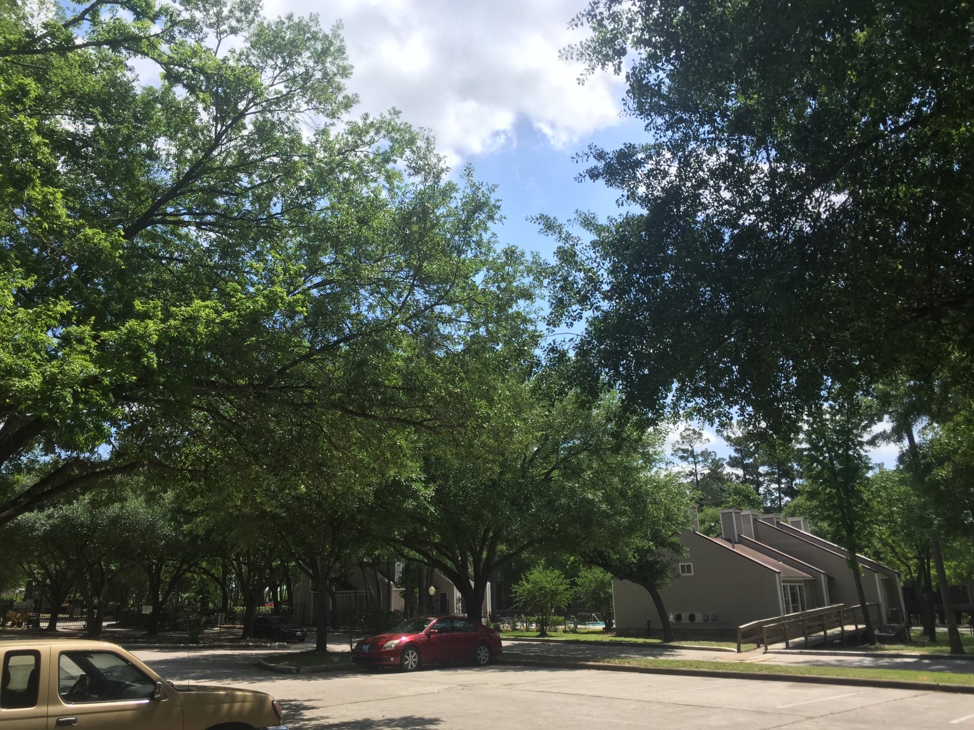 Serena Woods Affordable 1, 2 & 3 Bedroom Apartments in Houston