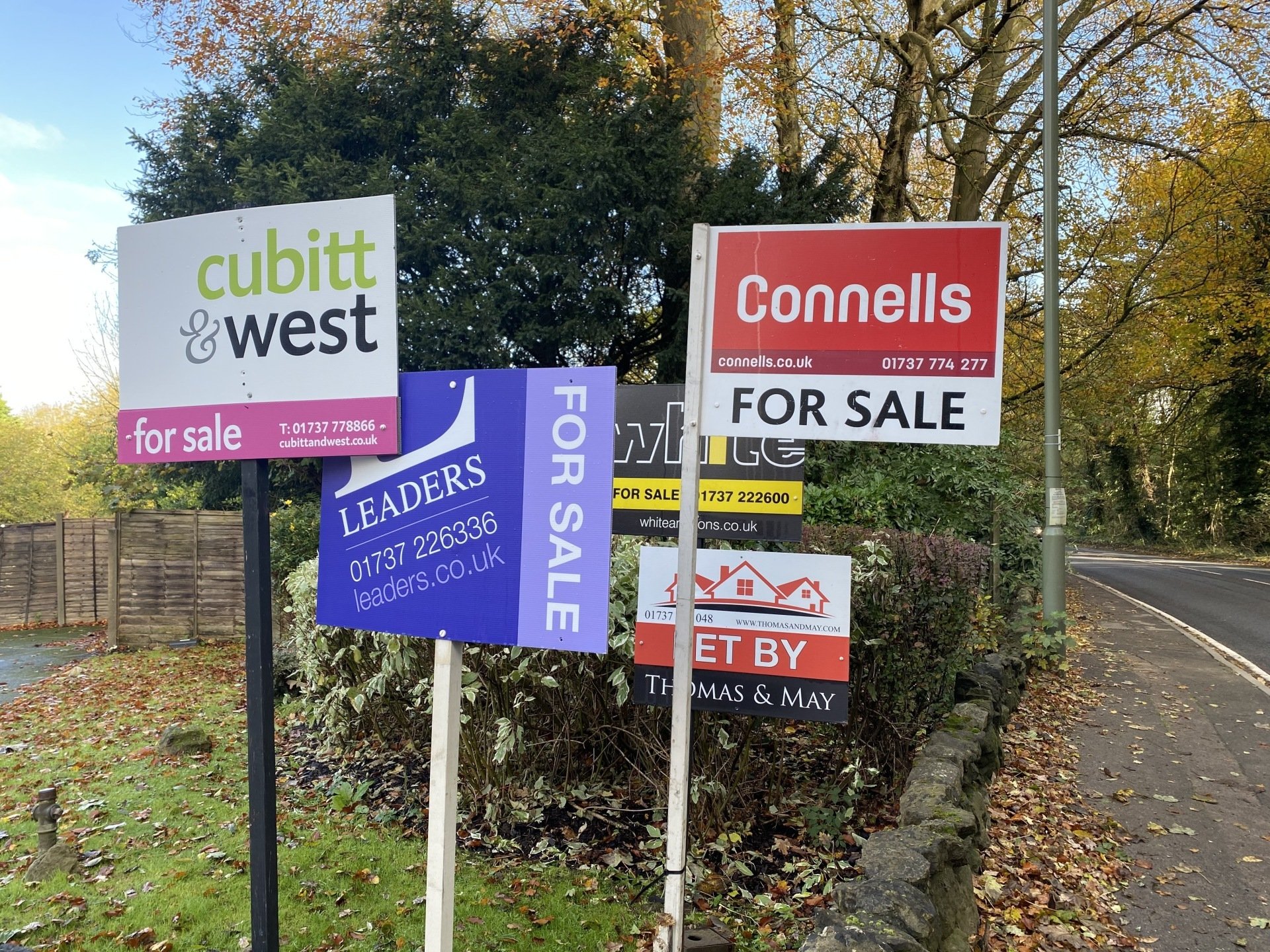 Dorking Removals & Storage Company