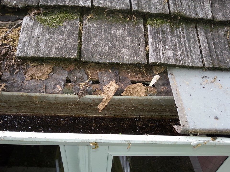 Gutter Protection Overland Park, Kansas Clean Gutter Services