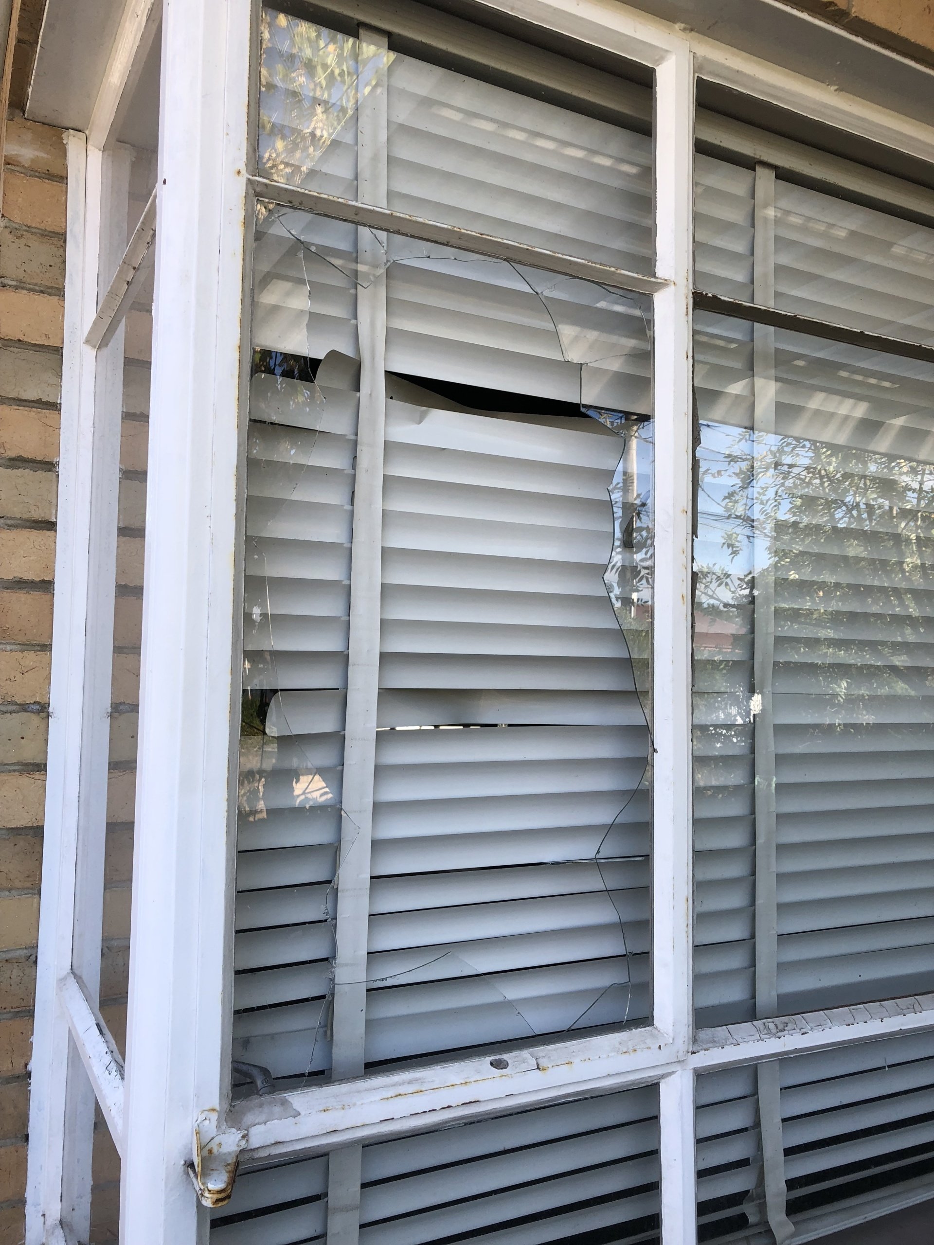 Pet Door Installation Before & After