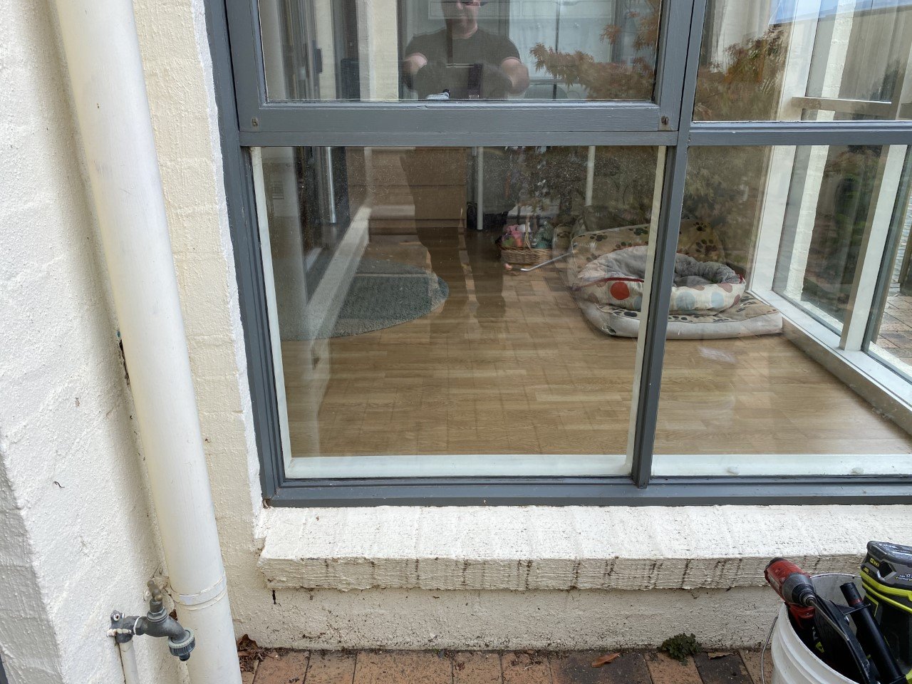 Pet Door Installation Before & After