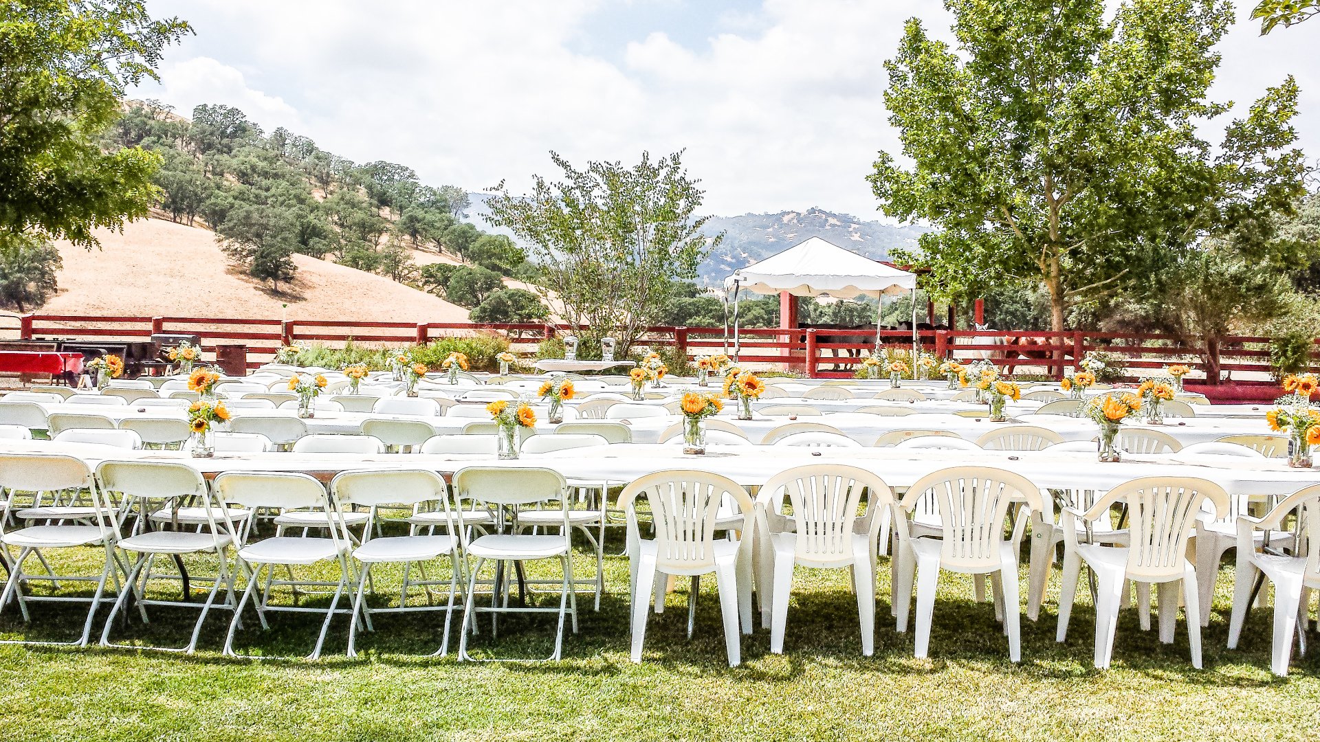 Yolo Land & Cattle Event Venue Grassfed Beef