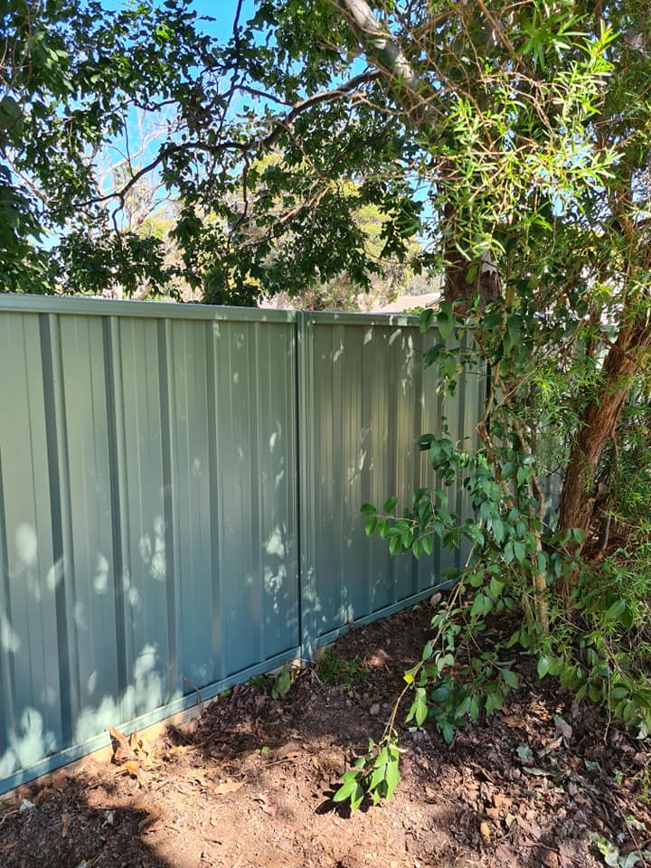 Colorbond Fencing in Taree D & B Fencing