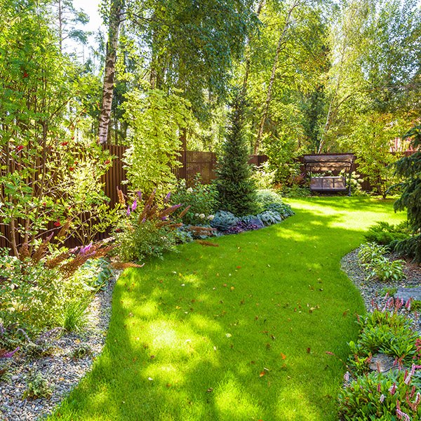 Tree Team Hilliard, OH Central Ohio Tree Trimming Services