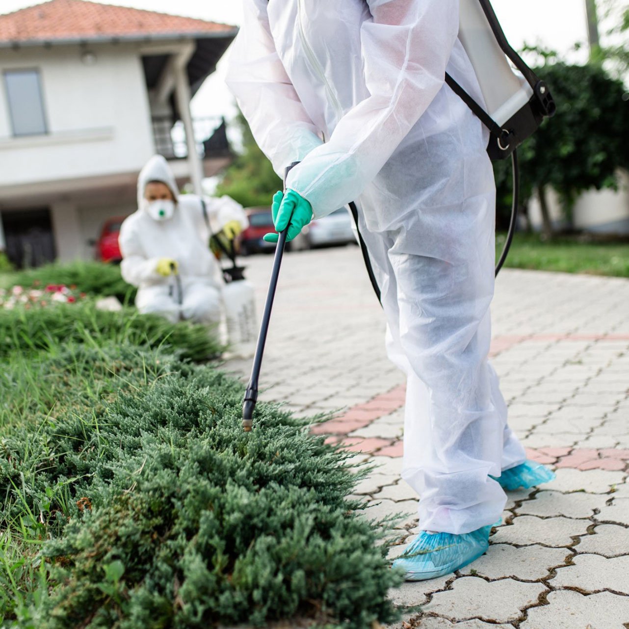 Pest Control Wilmington, NC Canady & Son Exterminating Inc