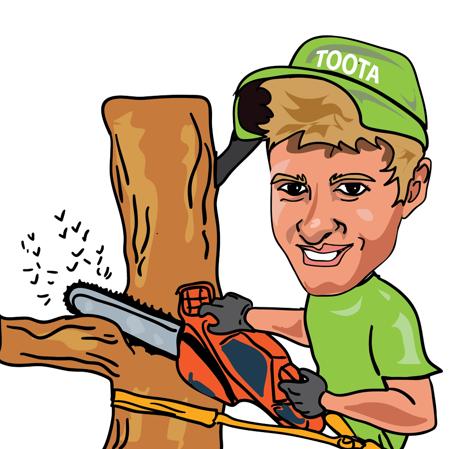 Home Carters Tree Services