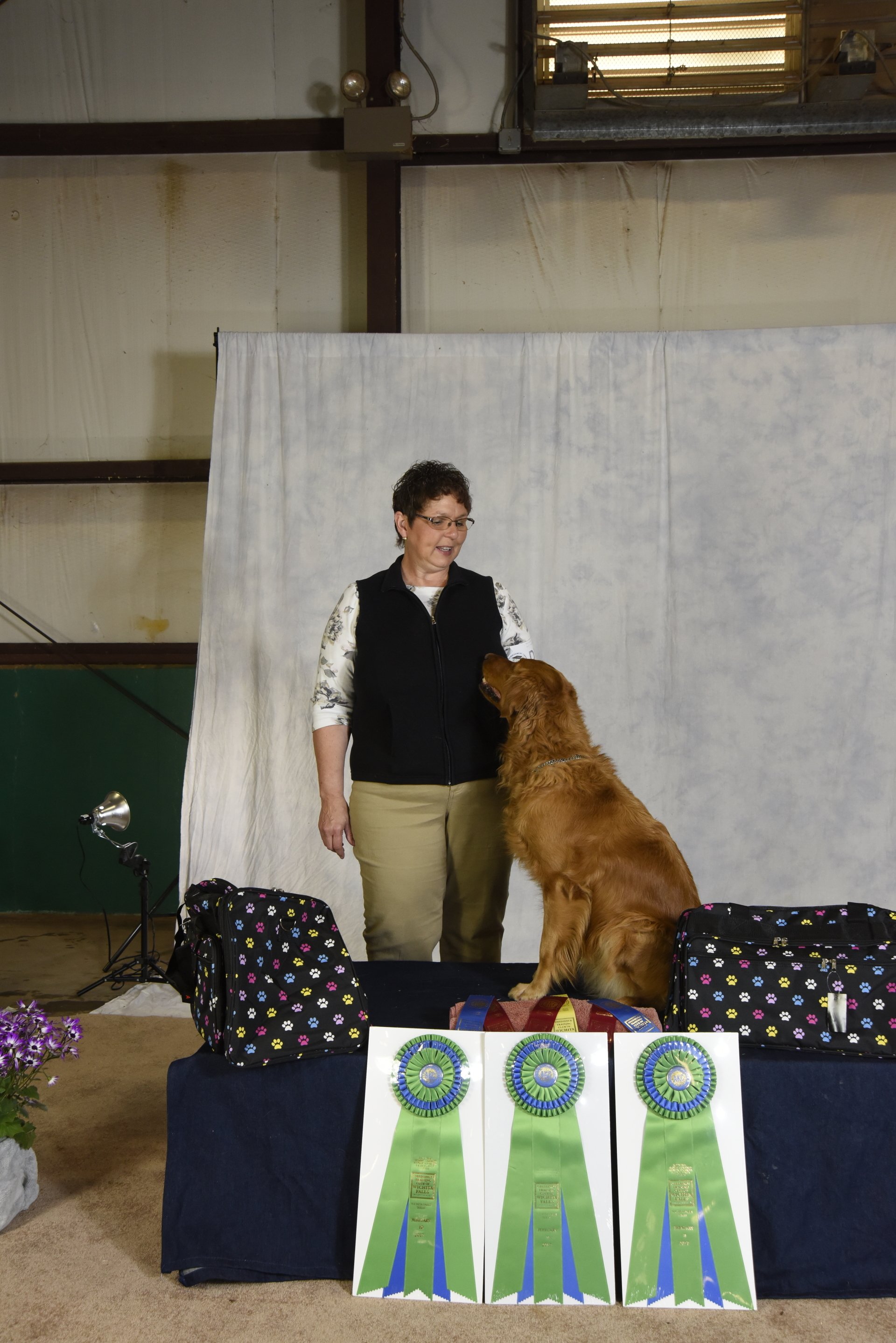 Dog Training & Behavior Modification | Canine Connection | Memphis, TN