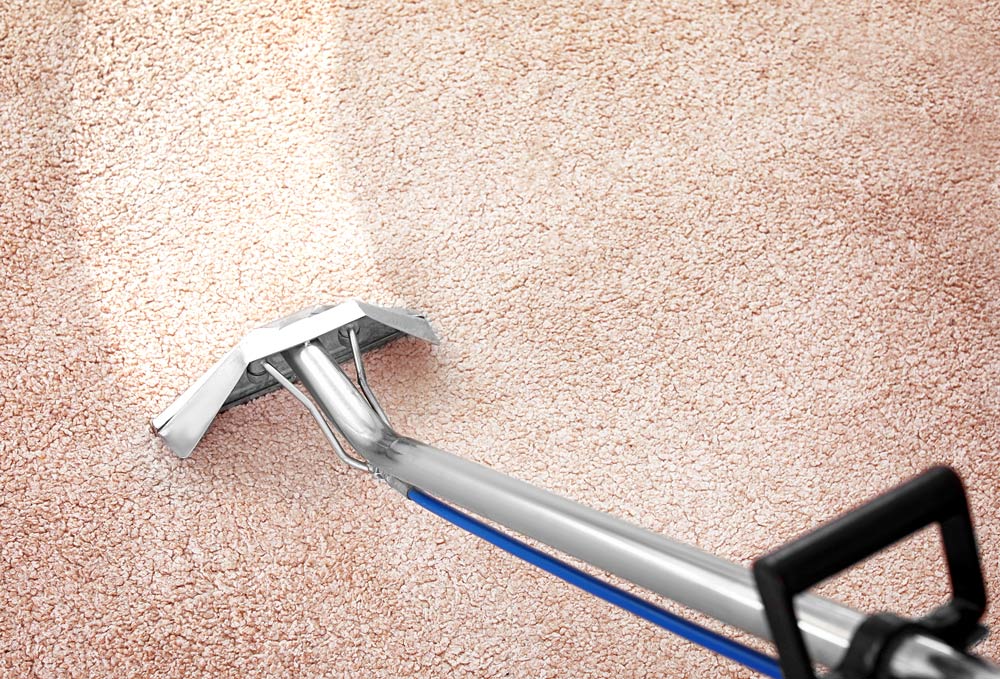 Carpet Cleaning in Coffs Harbour Northern Beaches Carpet Cleaning