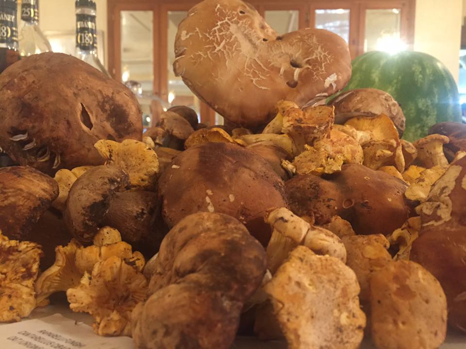 Ristorante Per Eventi Palestrina Ristorante Il Piscarello