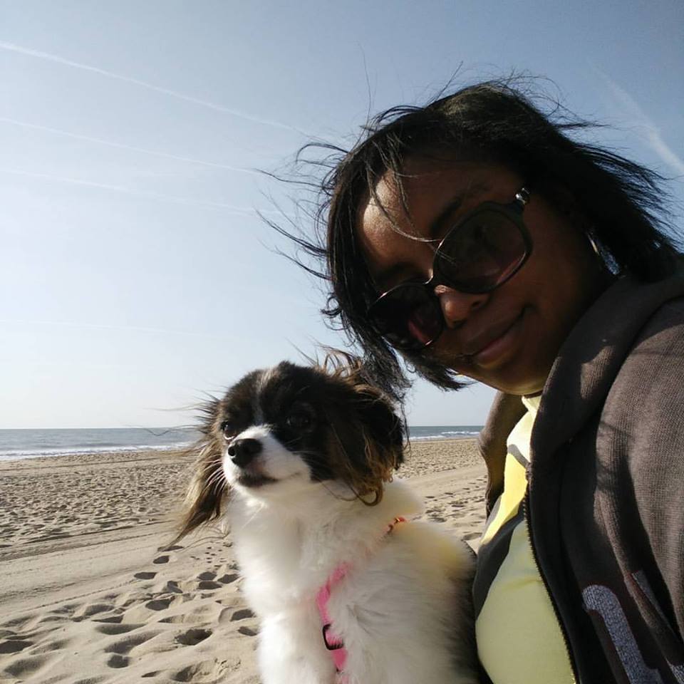 Petsmart Dog Training, Meet The Puppy Luv Team VA, DC, MD