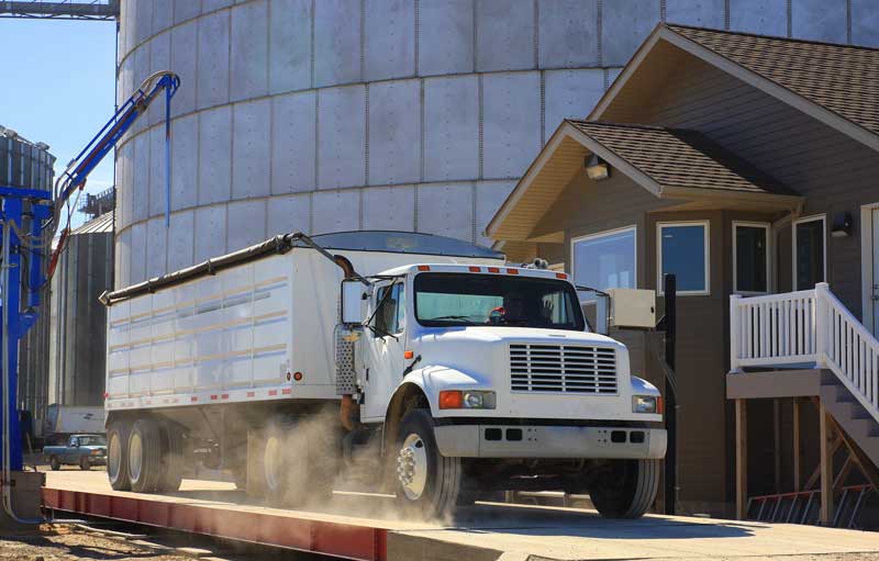 Scale Sales and Service in Queensland A1 Weighing Equipment