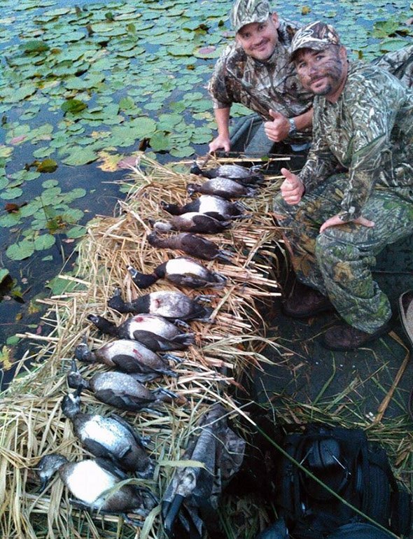 Okeechobee Duck Hunt, Florida Duck hunting Guide