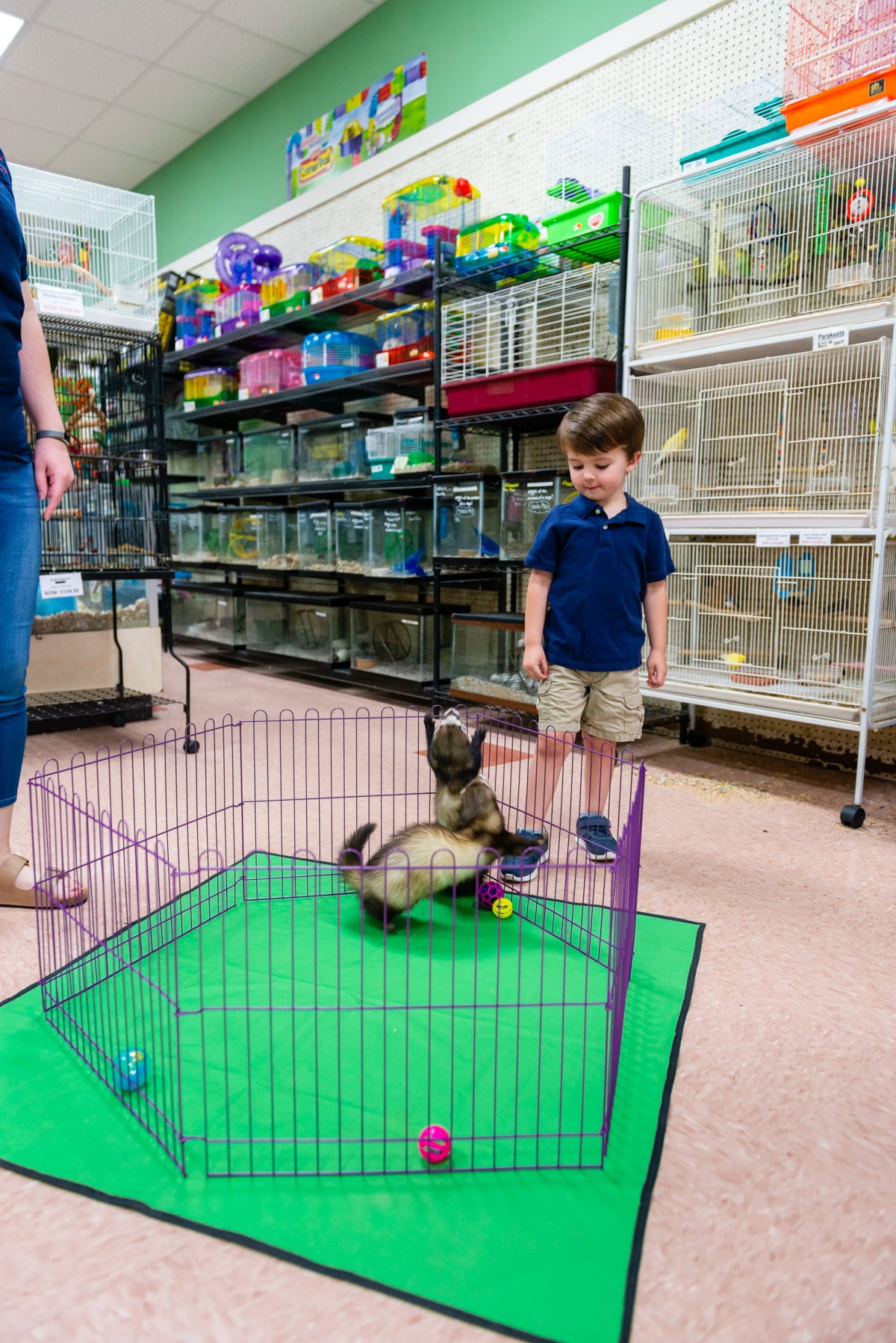 Noah's Ark Pet Shoppe Effingham, IL