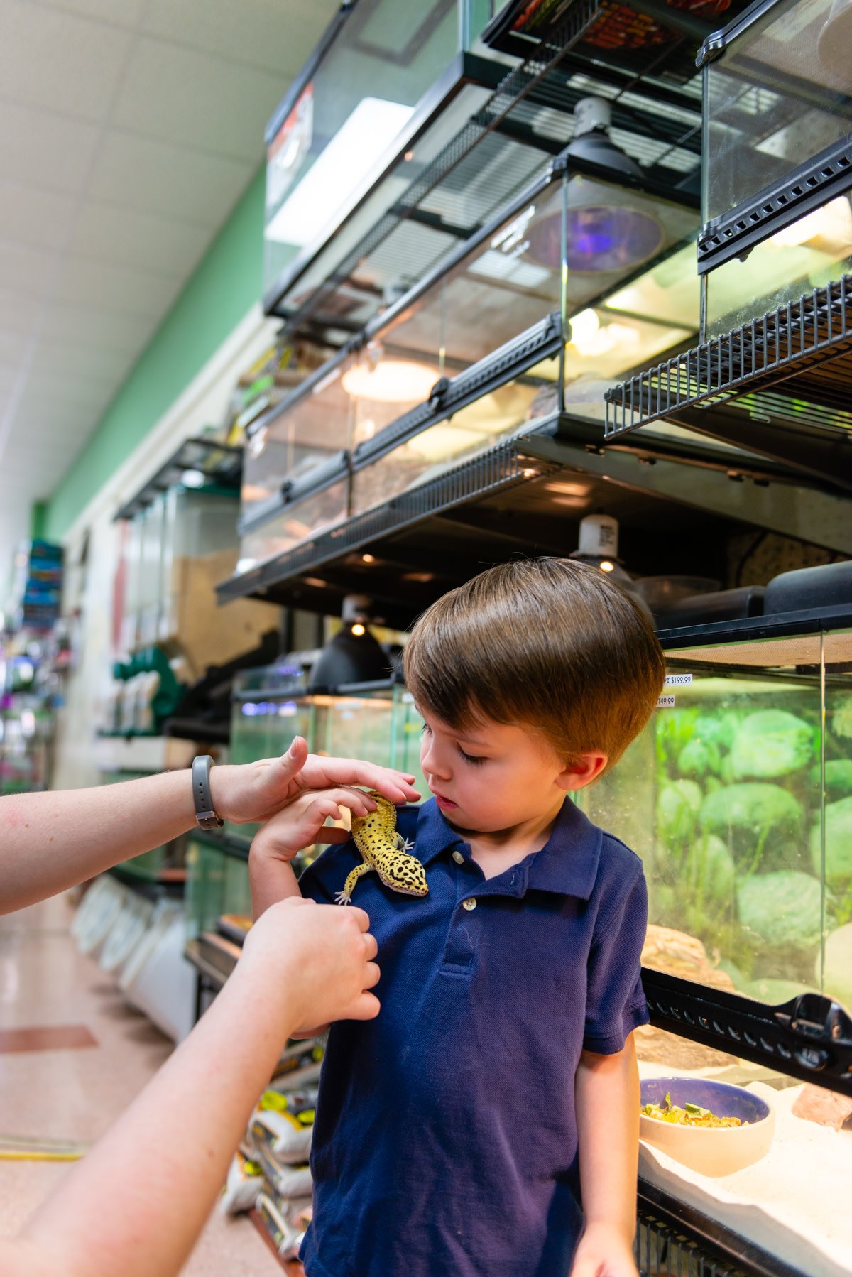 Noah's Ark Pet Shoppe Effingham, IL