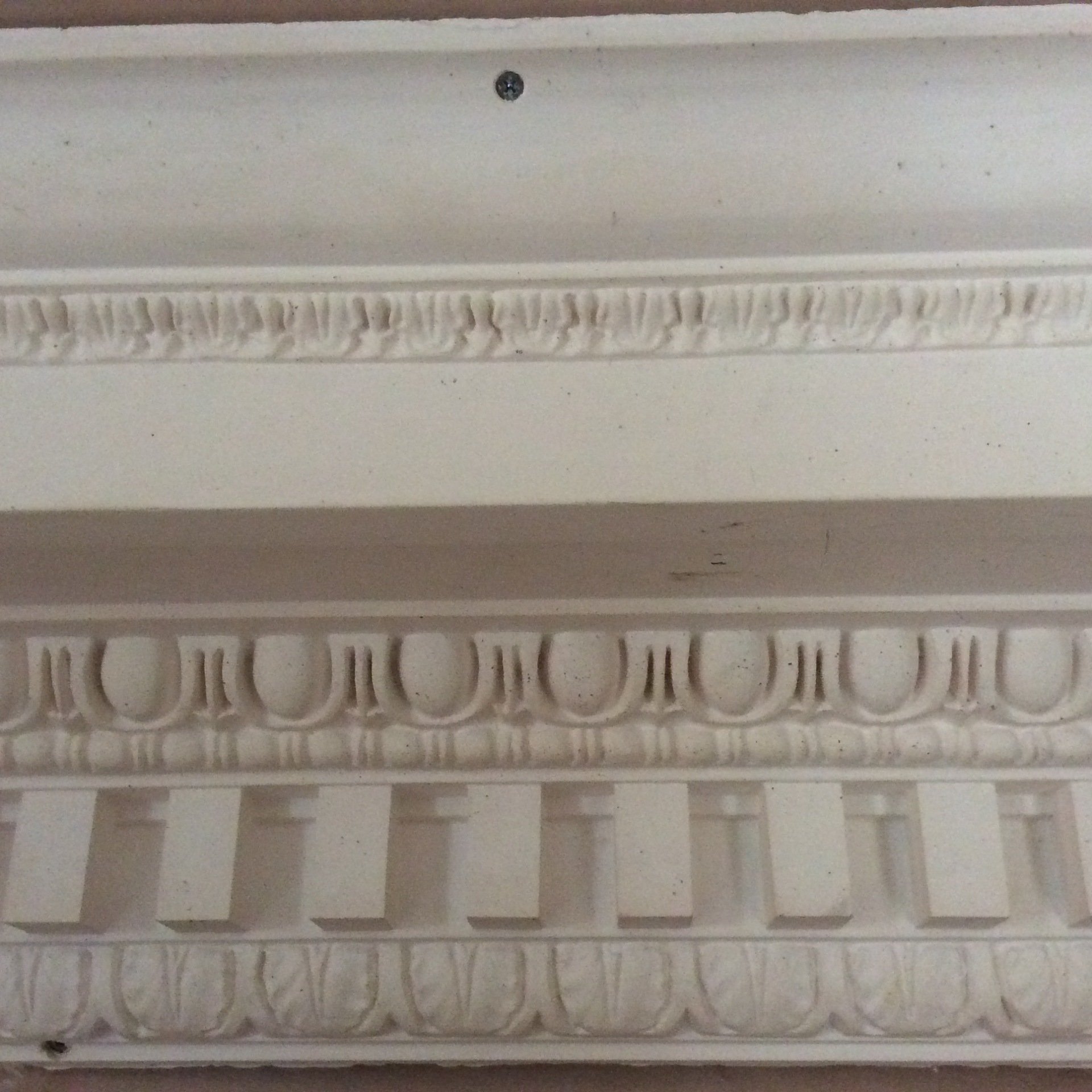 Ornate coving experts in Plymouth