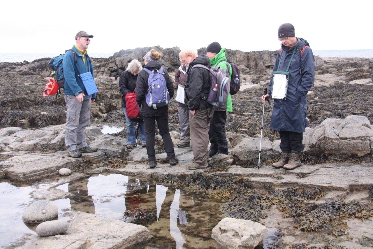 Explore Lifelong Learning 2021 - Art & Craft Studio Lockdown Exhibition - Adult Education