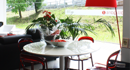 Complementi darredo scandicci idea arredo prodotti Idea arredo scandicci