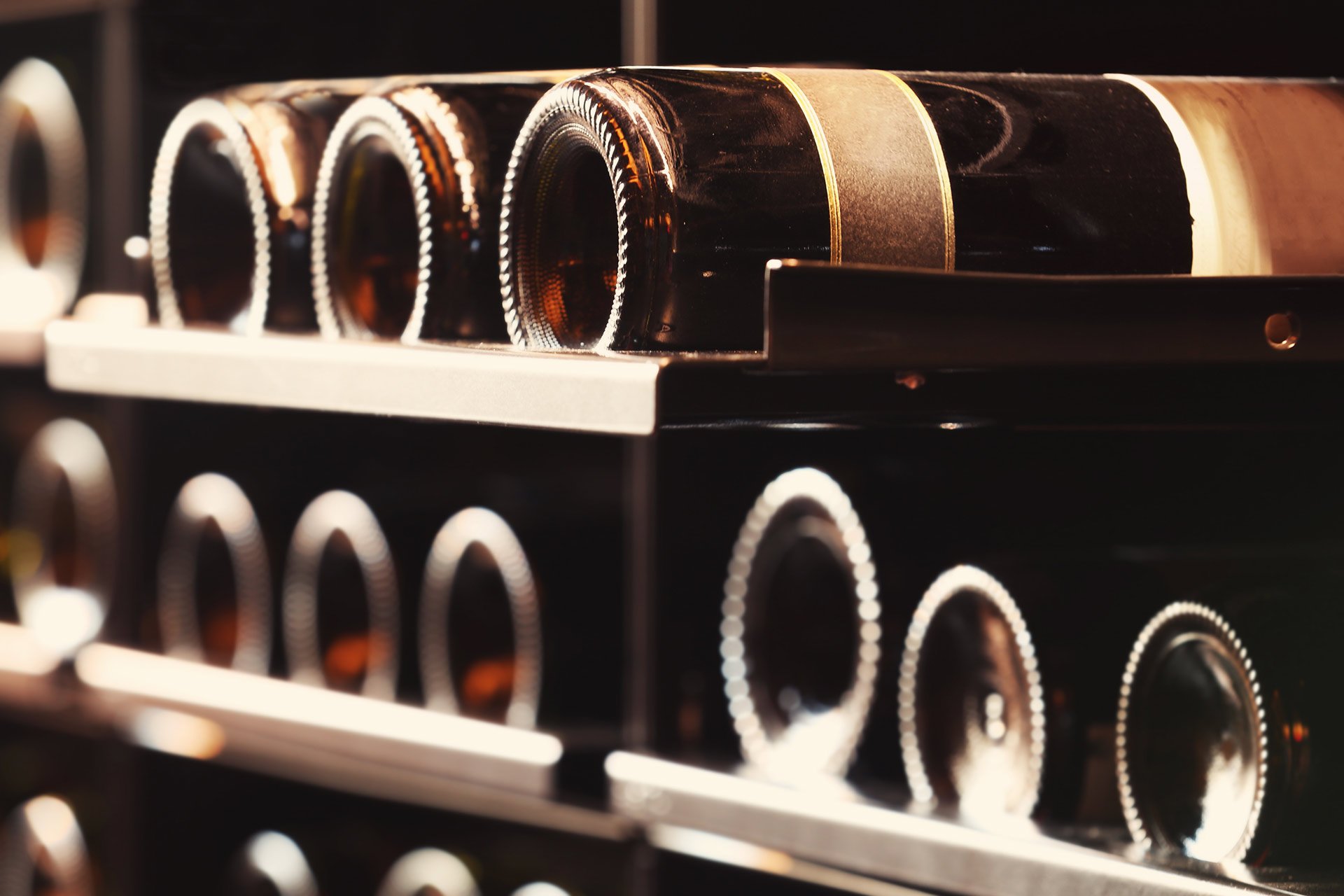 Shiraz Wines South Australia Mount Benson Estate