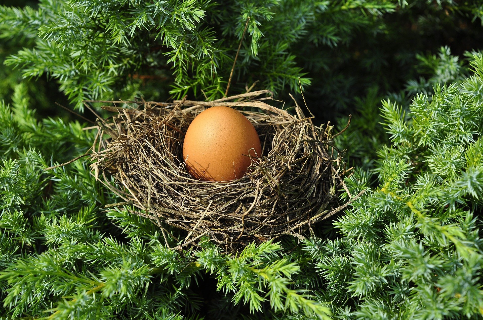 5-ways-to-protect-your-nest-egg-even-after-you-are-gone