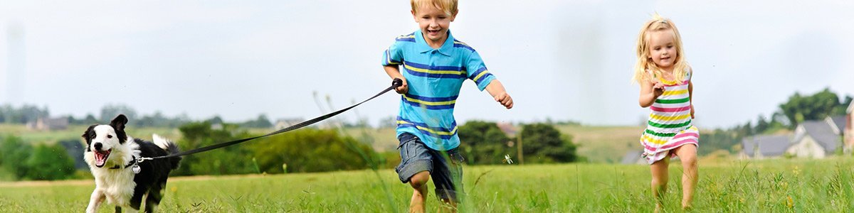 toucan pet centre kids running puppy