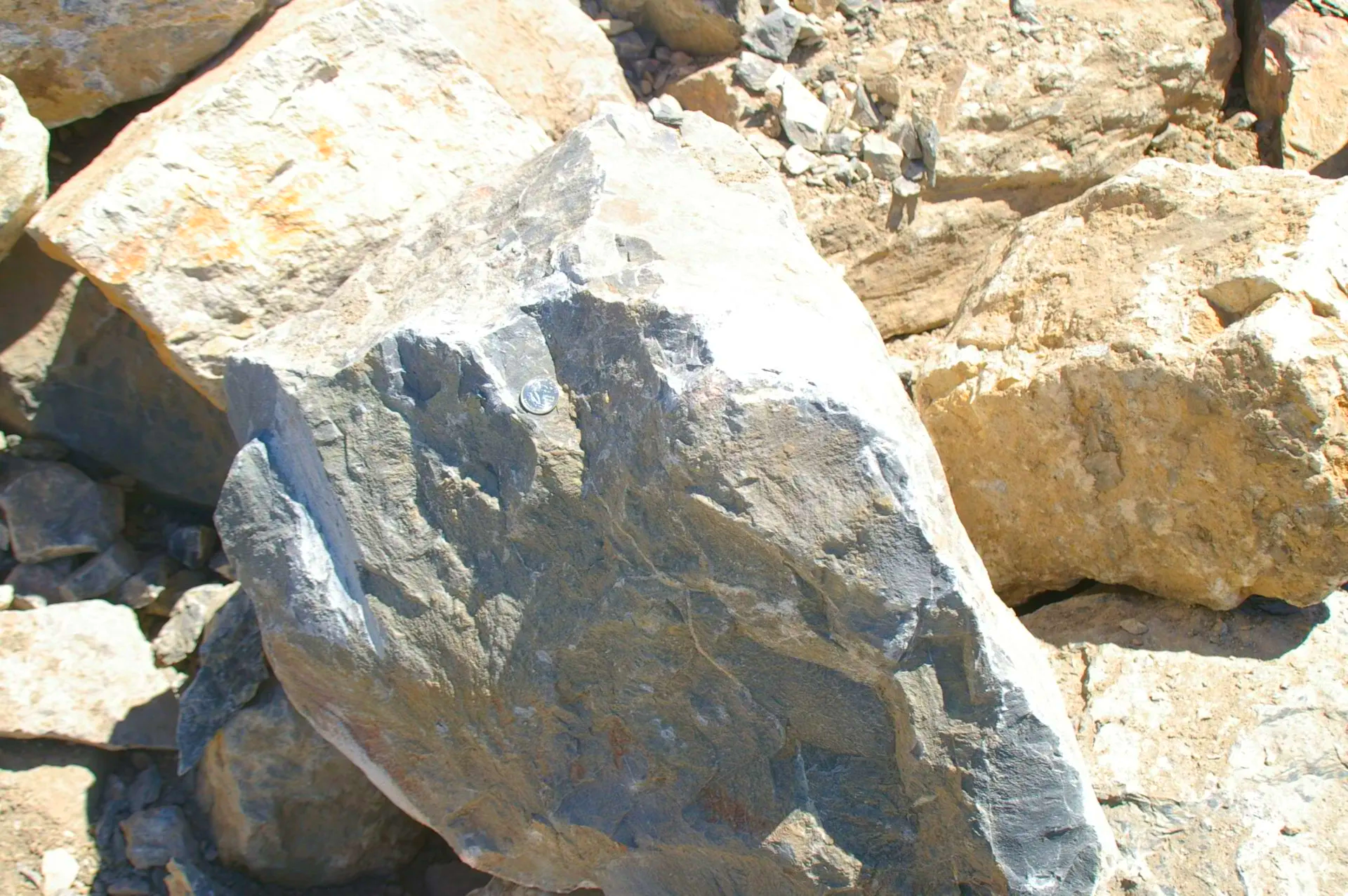 Evans Companies- Grading, Excavation, Asphalt Contractor - Utah County